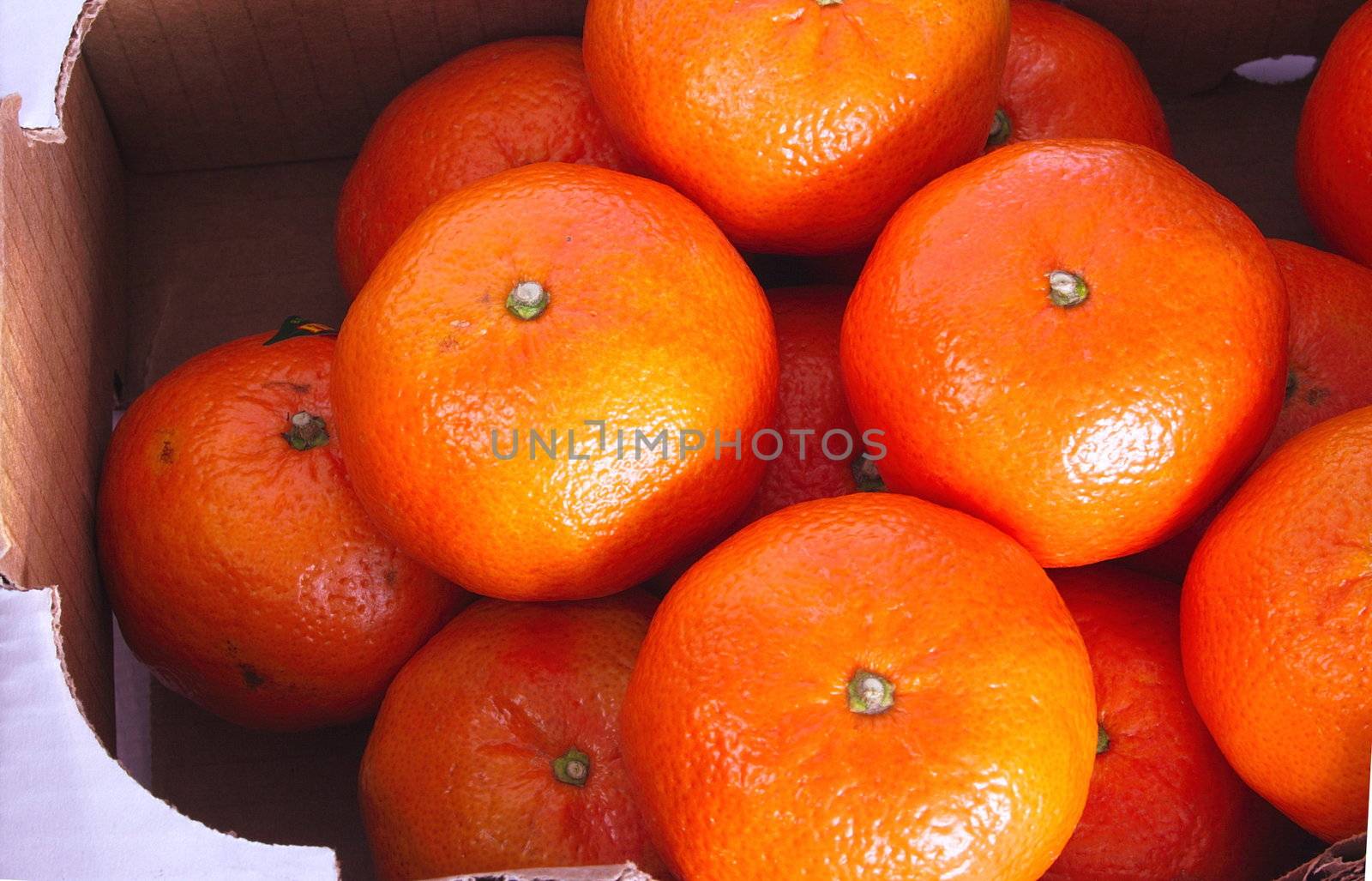 oranges in a box by leafy