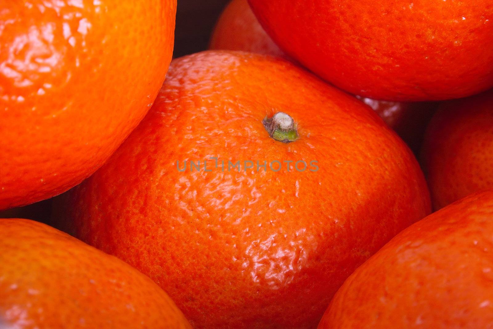 closeup of a pile of oranges
