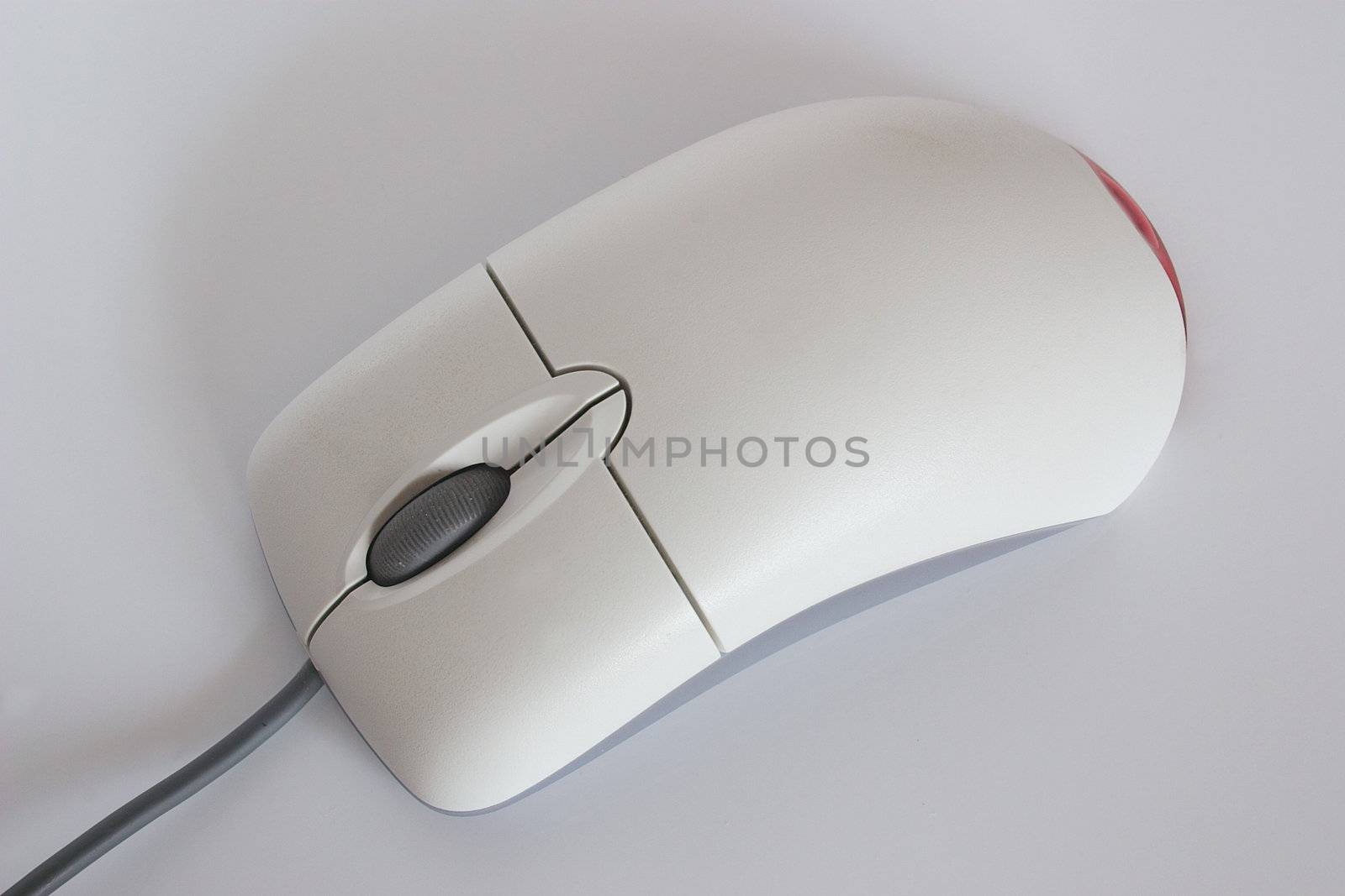 computer mouse by leafy