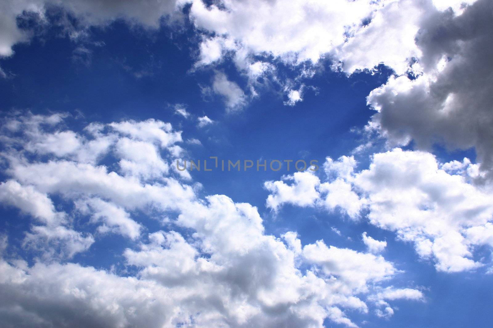 dark blue sky and clouds by leafy