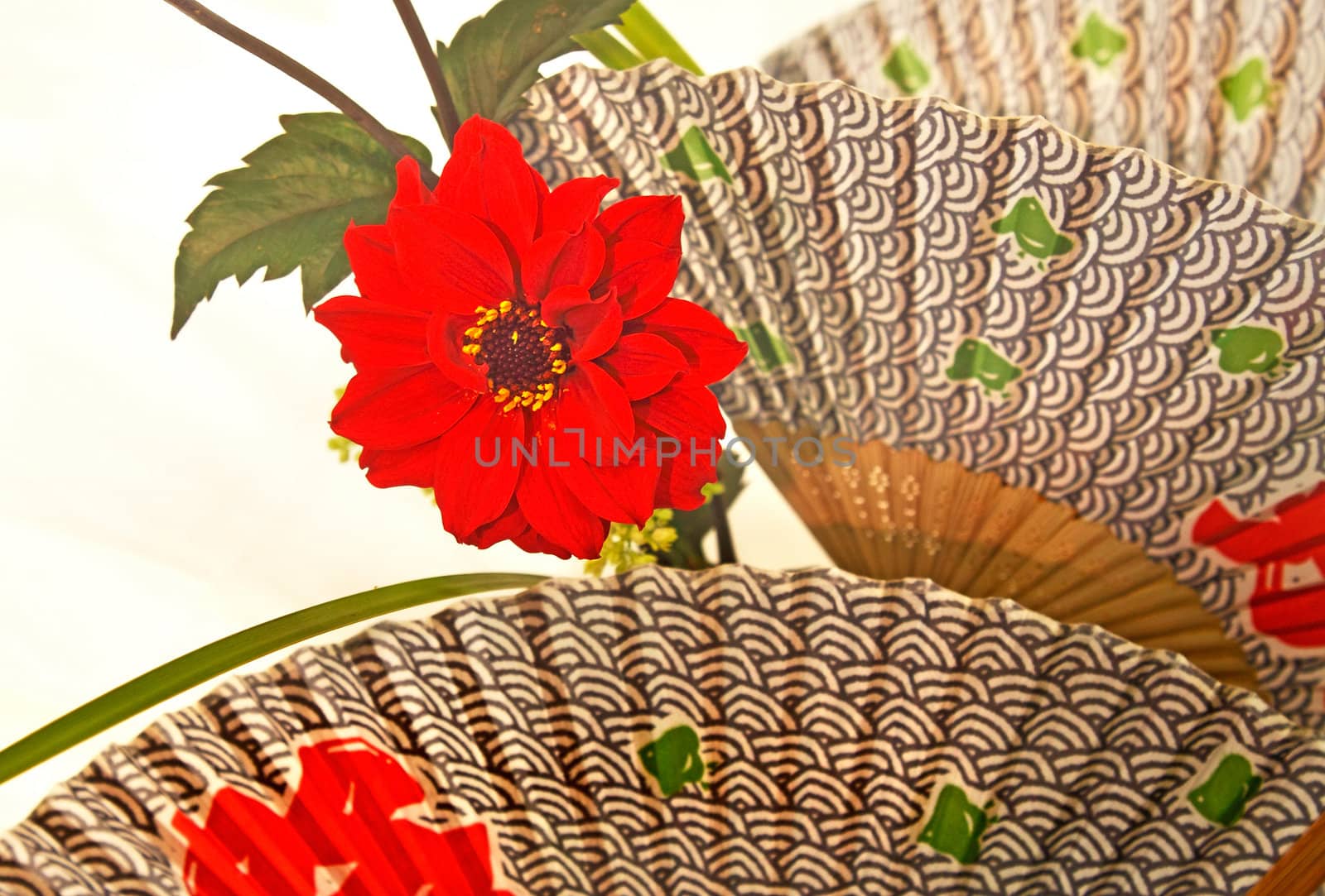 An artistic floral display using a Dahlia and other items.