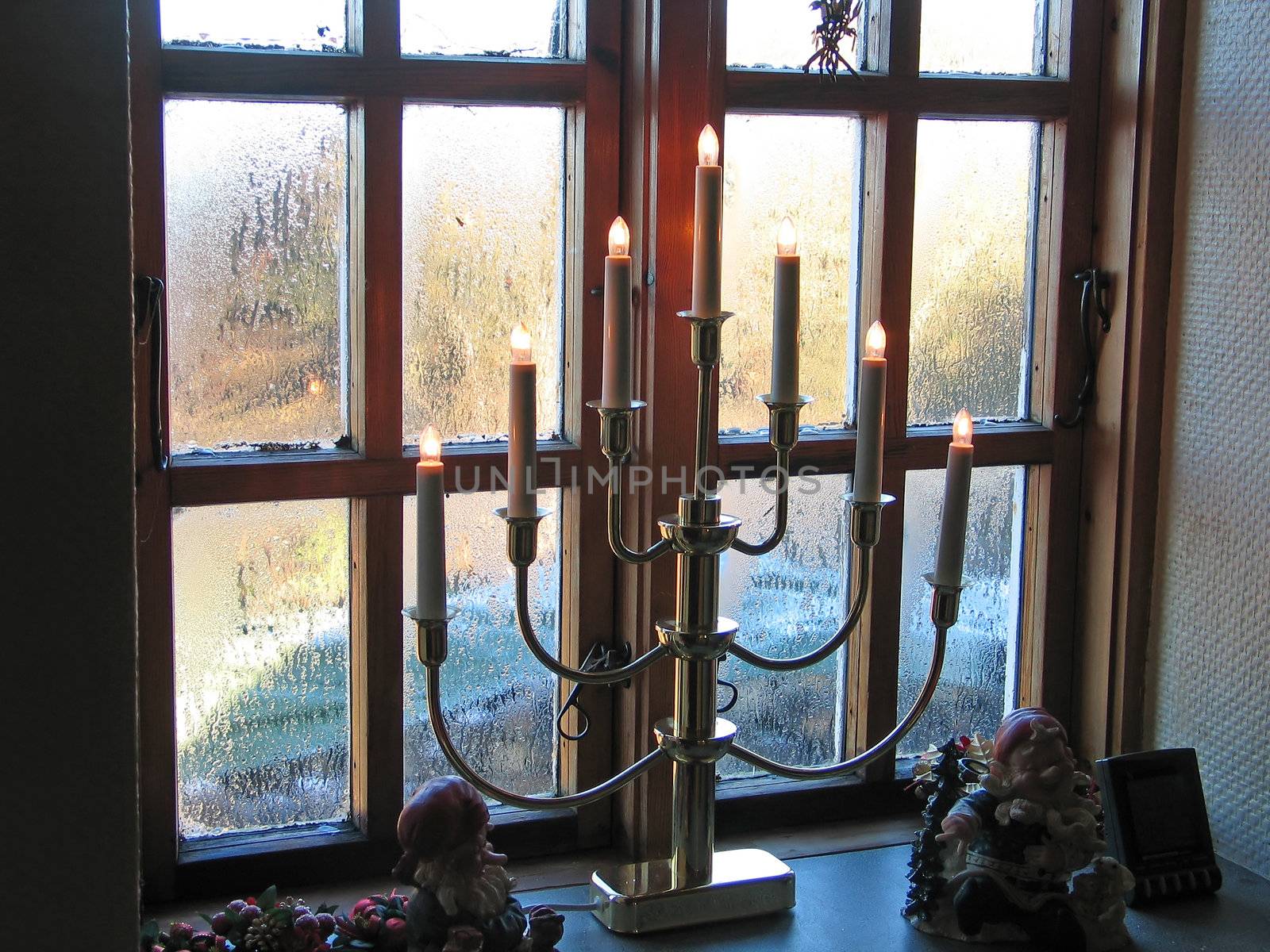 Decorative lights for the new year stand by the window