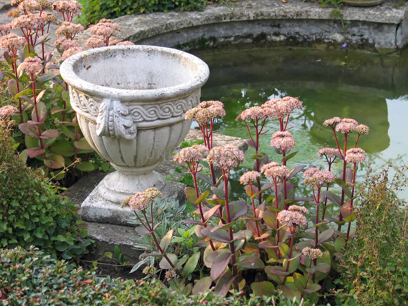 Details of an Italian garden with a water pond