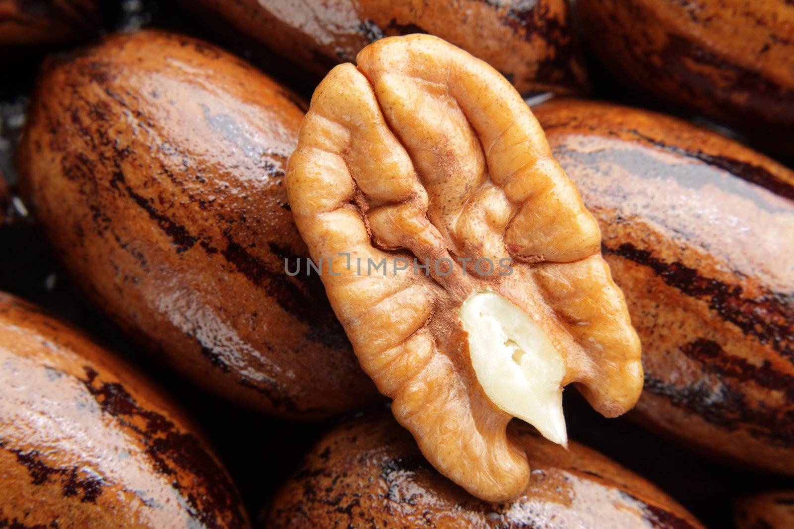 Pecan halve on a group of pecans.