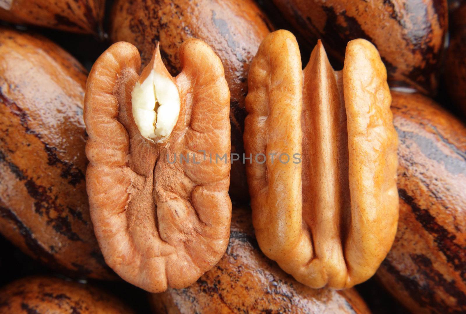 Pecan halves on a group of pecans.