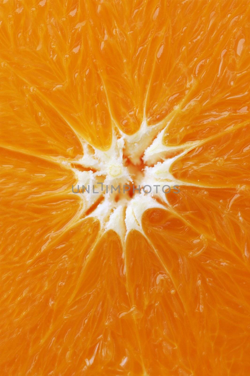 Macro photo of a beautiful sliced orange