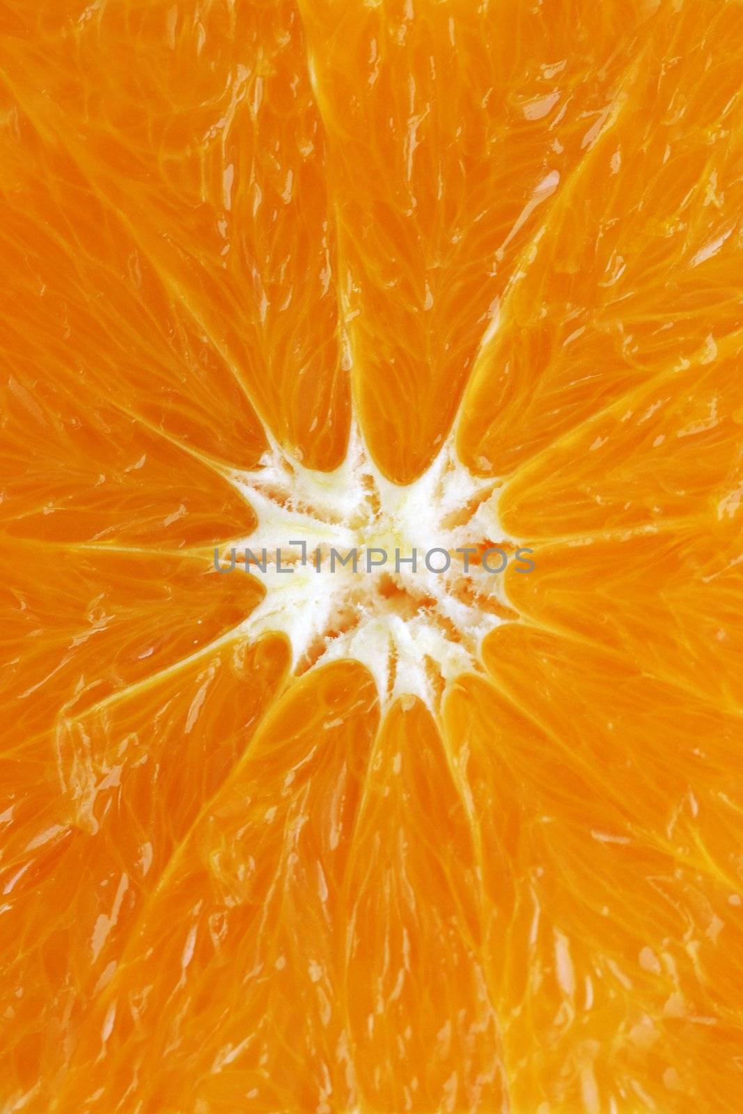 Close-up of an beautiful juicy orange slice