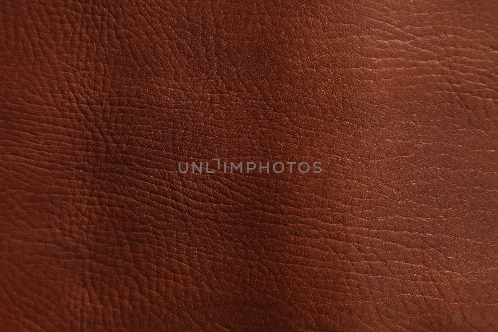 close up shot of the texture of  leather