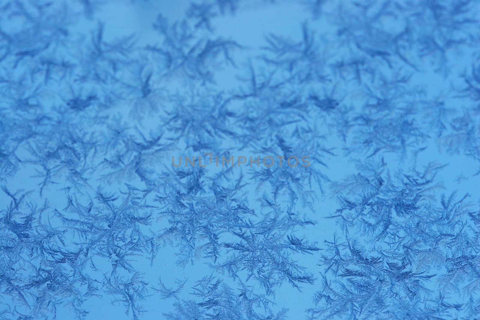 Macro of Frost crystals - focus on crystals in lower half of photo