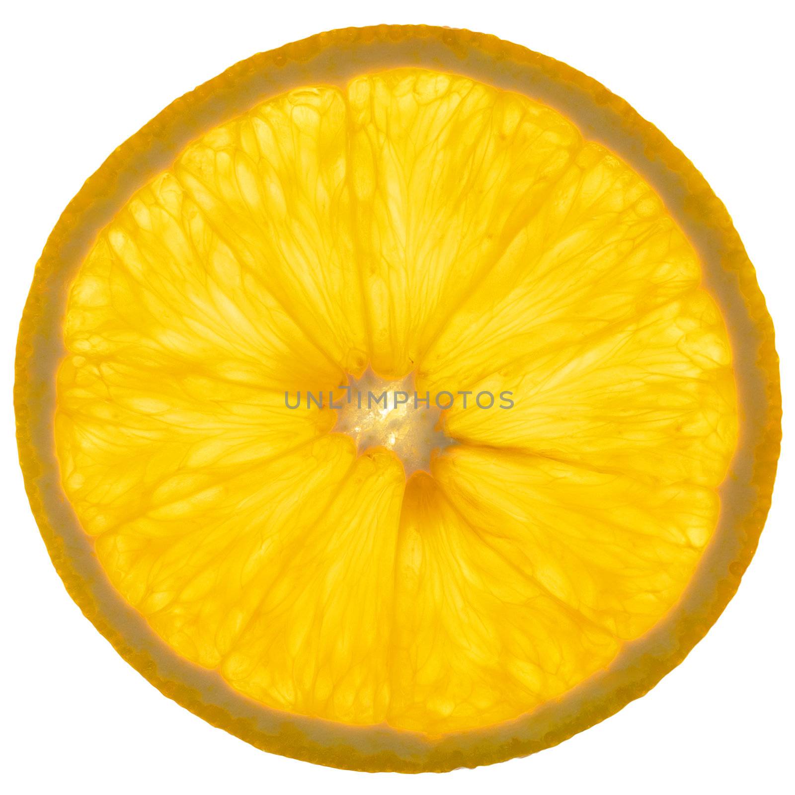 Thin slice of an orange on a white background