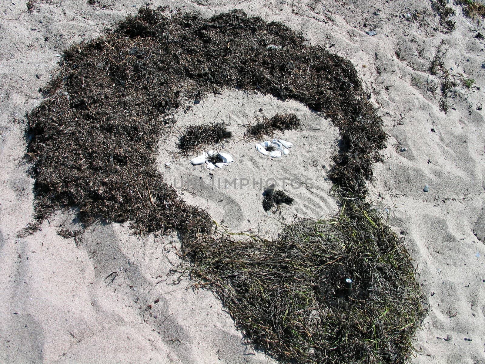 Beach art - Human face made of seaweeds and stones