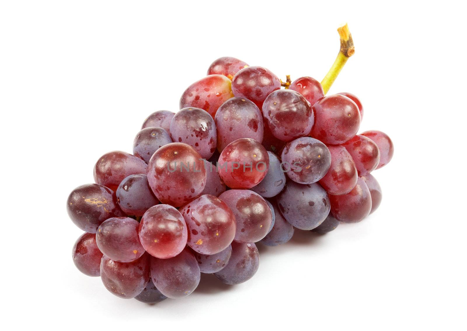 Cluster of ripe grapes on a white background