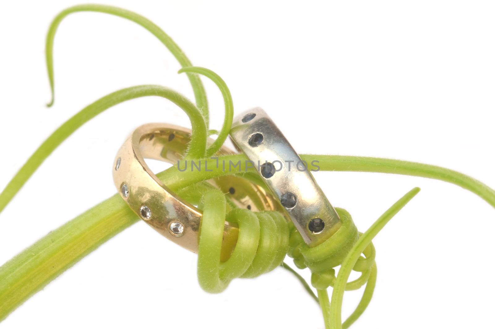 A pair of wedding rings, one white gold with sapphires and the other yellow gold with diamonds, are twined together with a green vine.