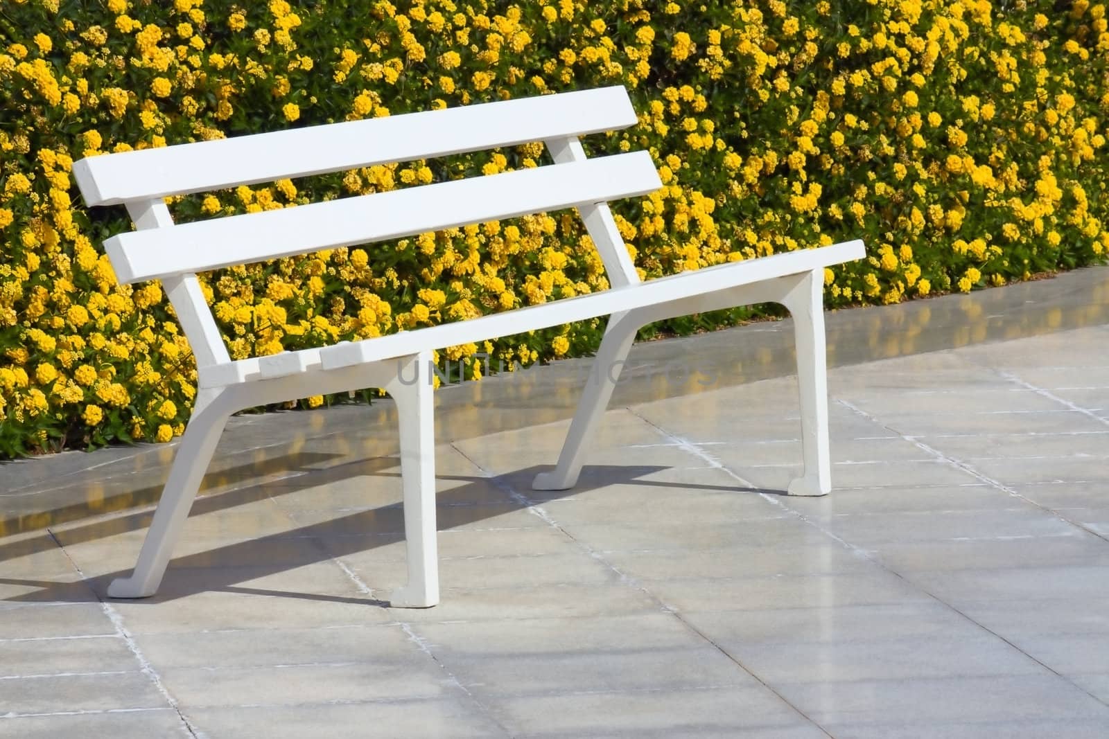 Beautiful white bench is in the park, next to the yellow flowers.