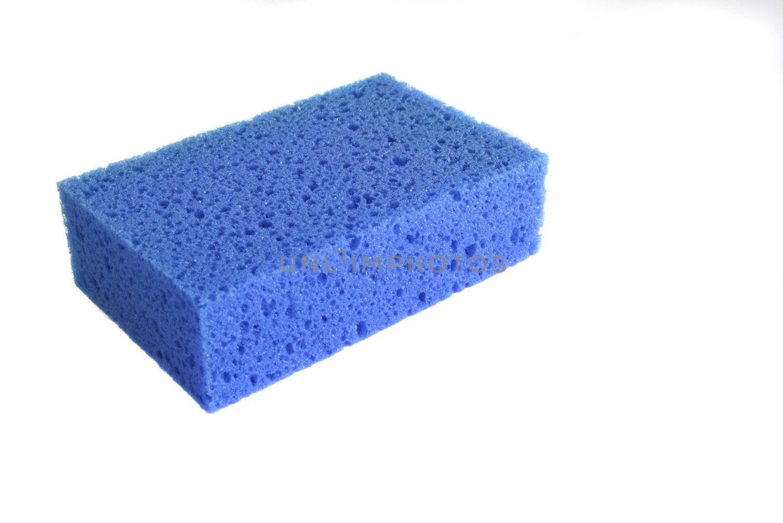 Blue sponge background isolated in a white background