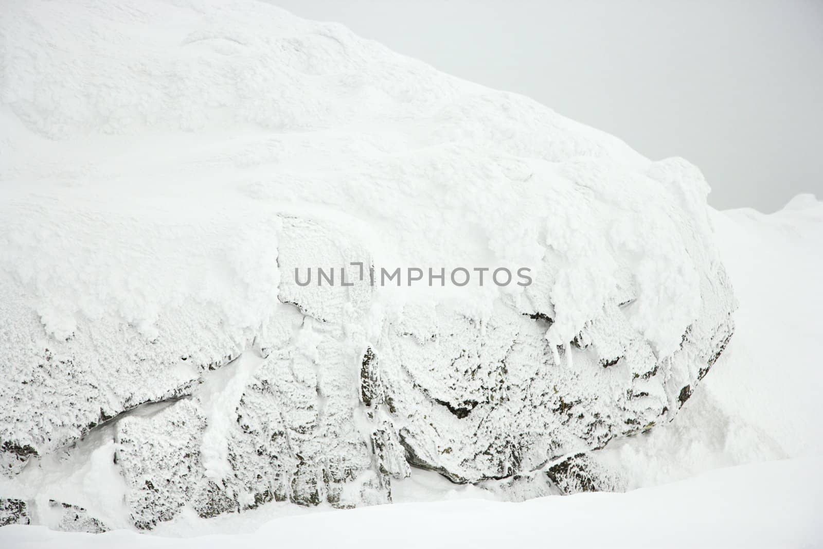 Snow covered scene.