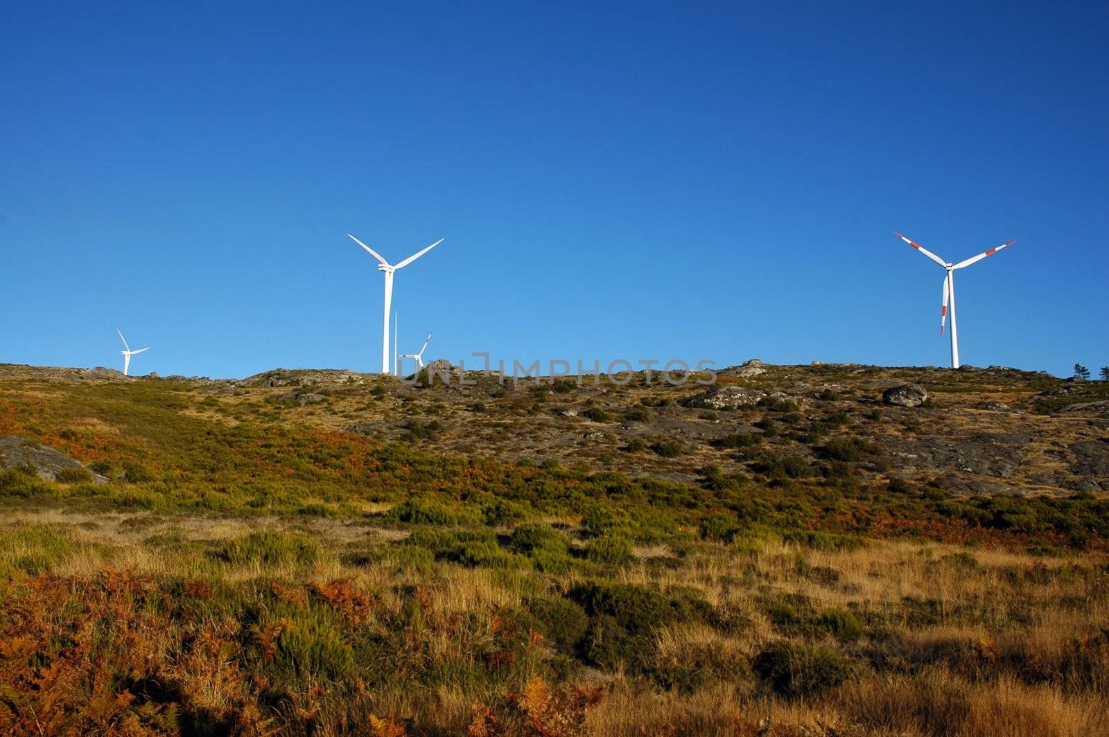 four eolic generators in a wind farm by raalves