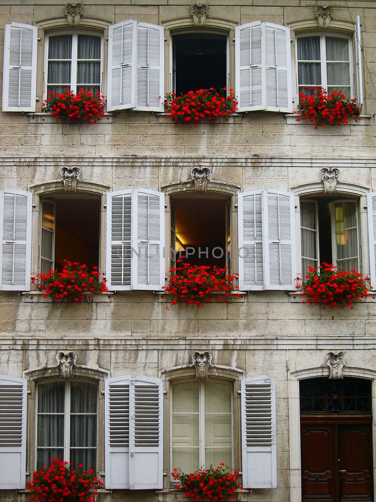 typical swiss fa�ade with flower pots in windows