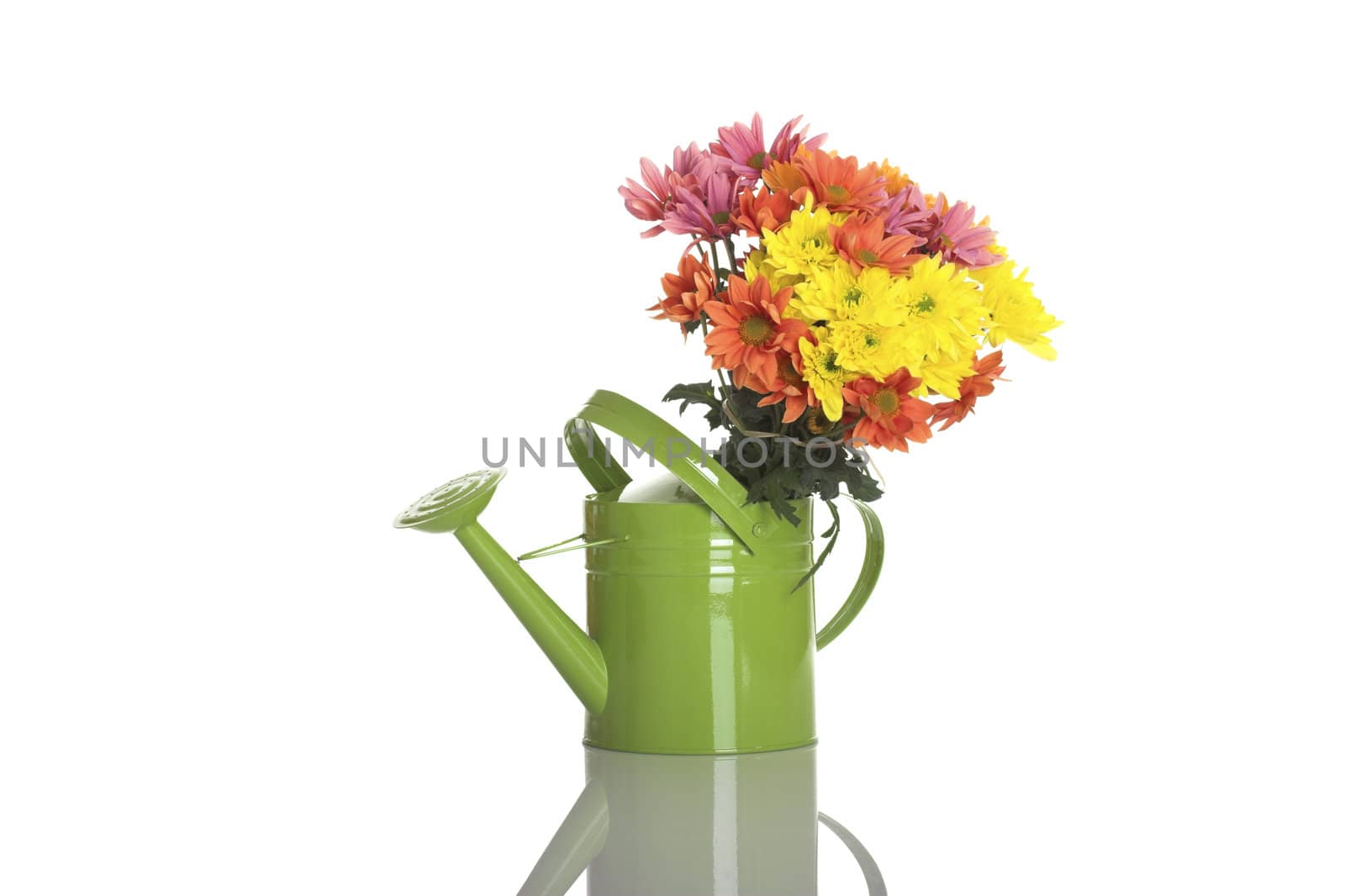 Green watering can with flowers isolated on white
