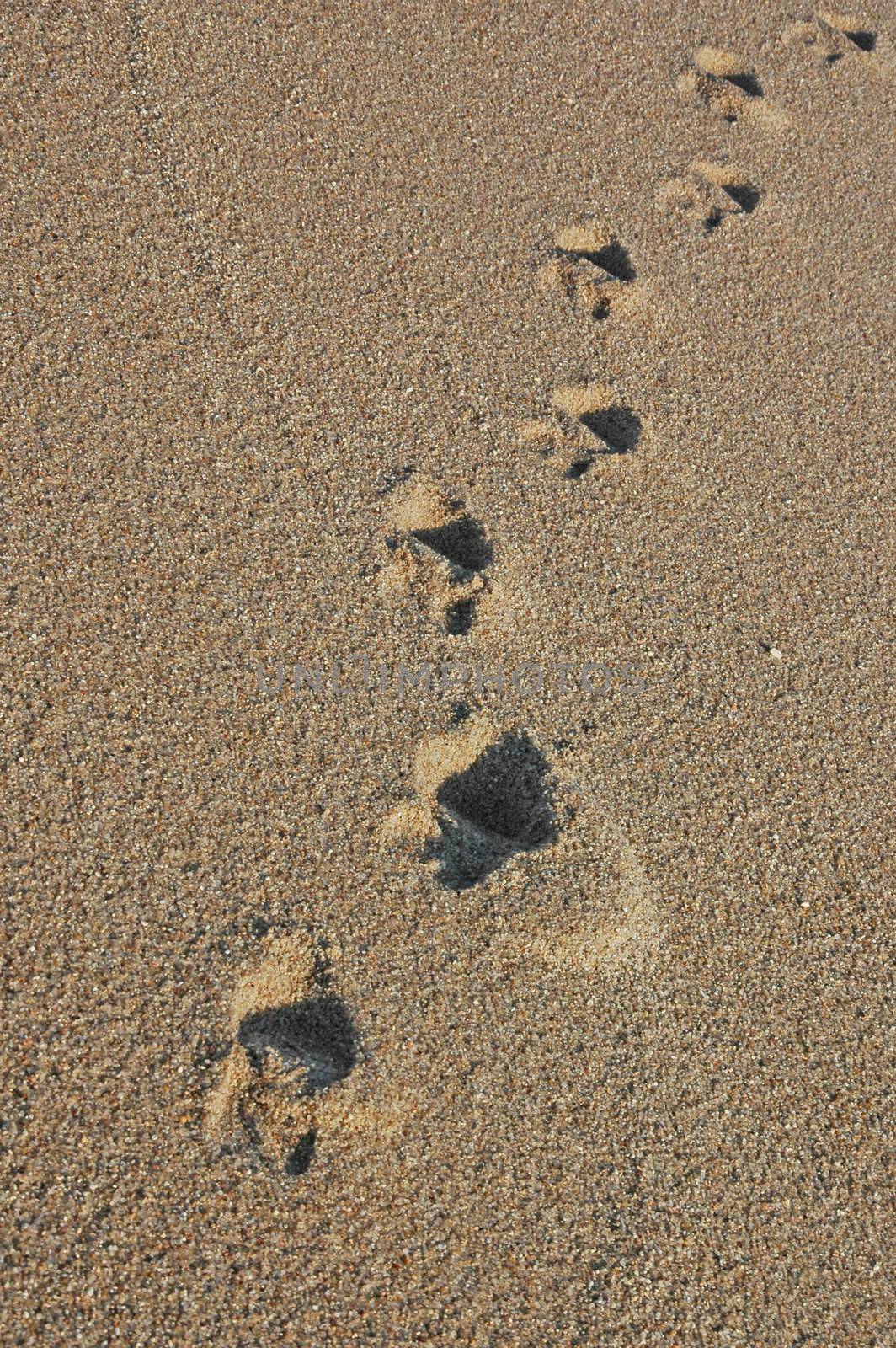 Footprints going over a sand dune
