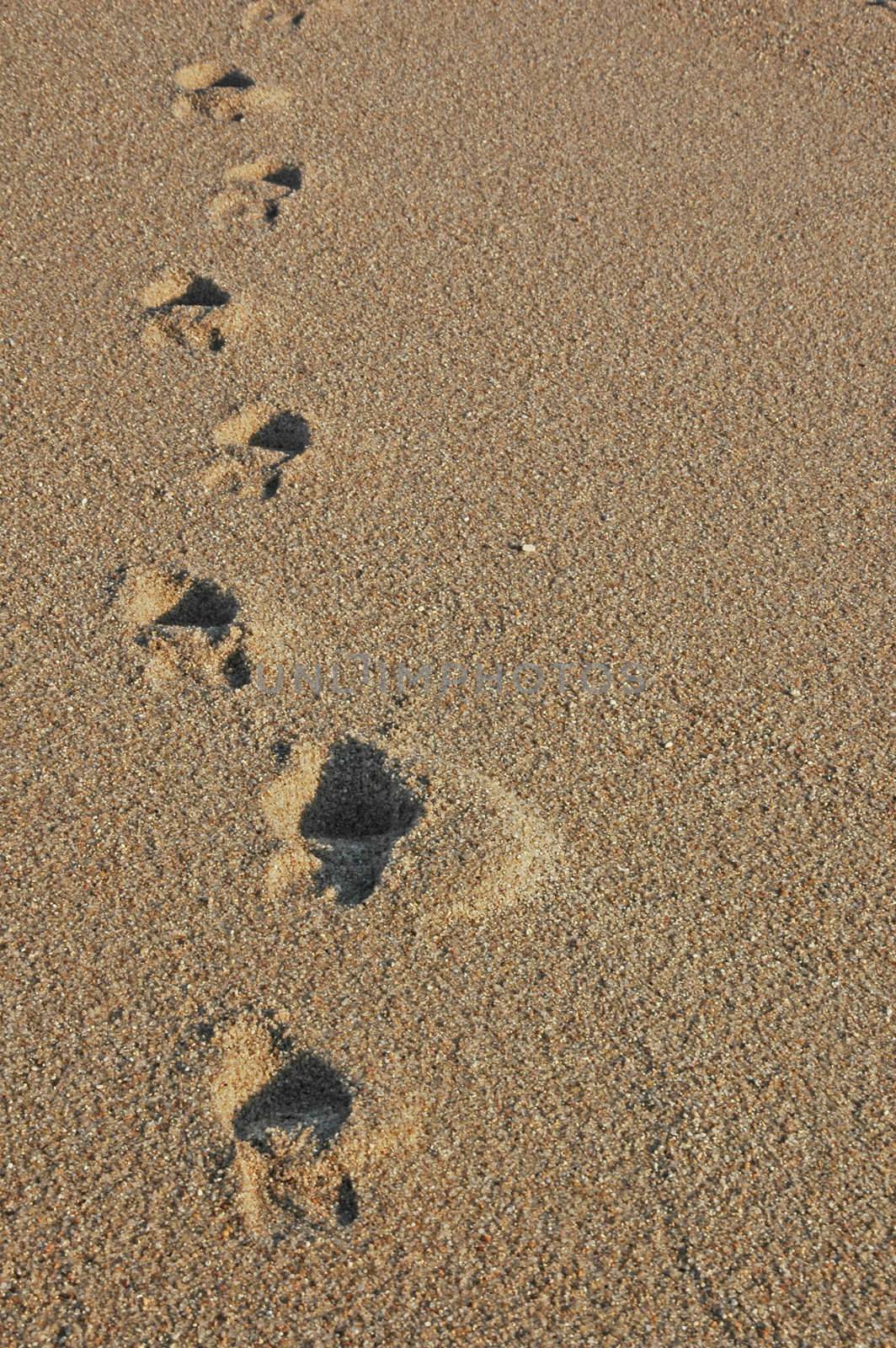 Footprints going over a sand dune by raalves