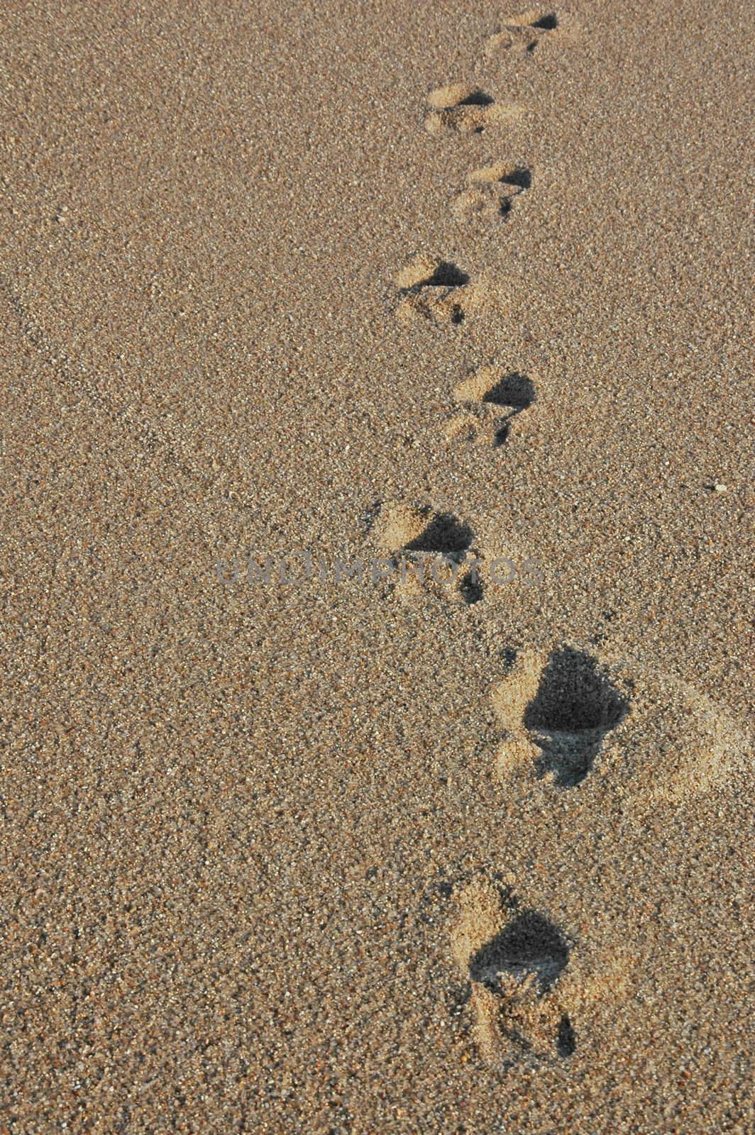 Footprints going over a sand dune by raalves