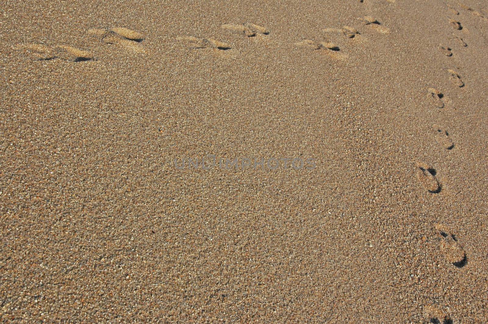 Footprints going over a sand dune by raalves