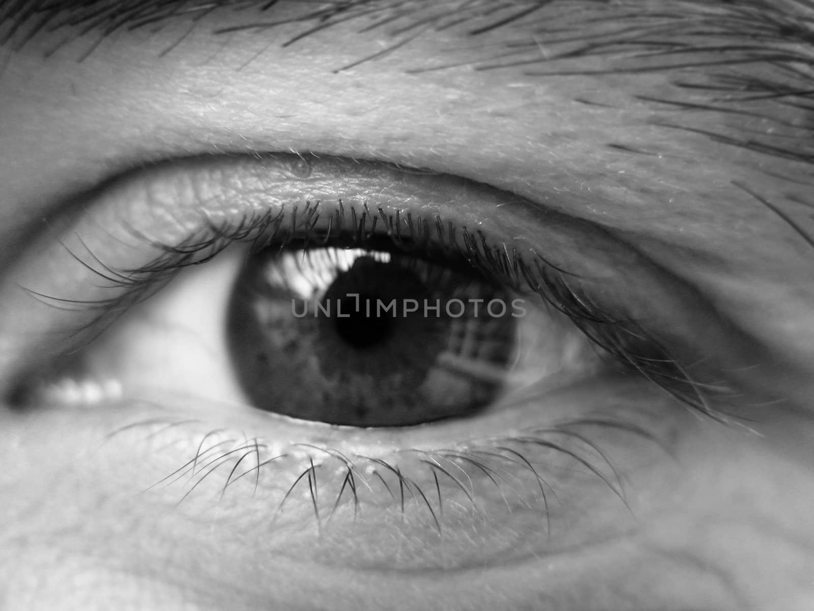 Close-up of a male eye