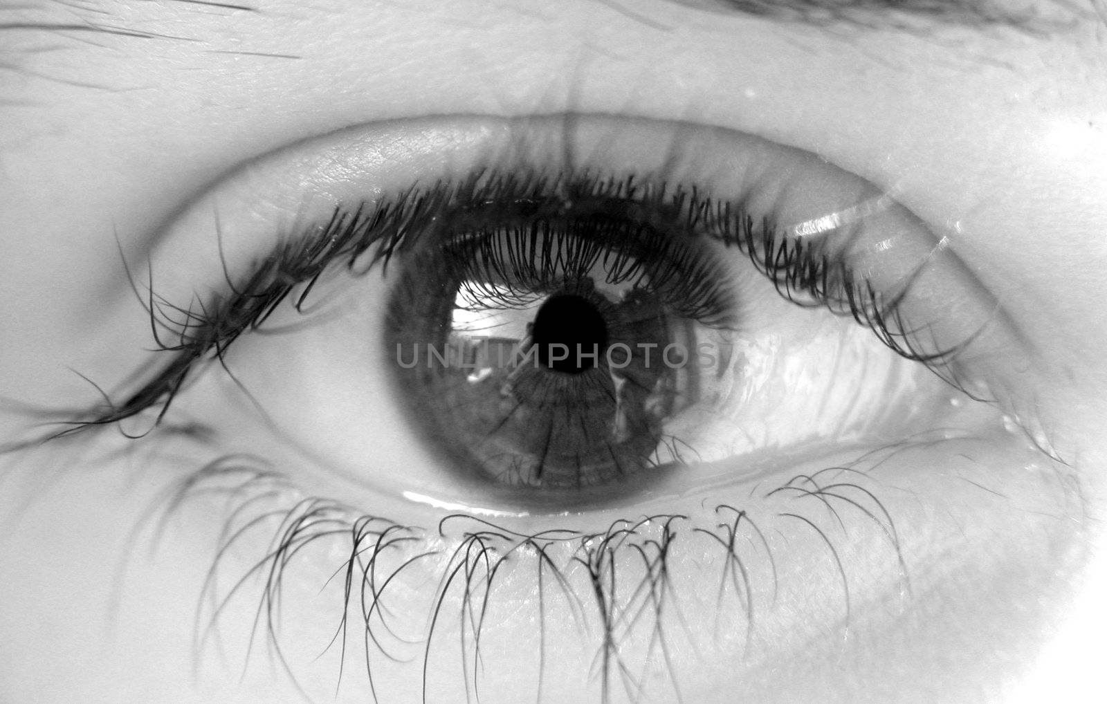 Black and White image of a female eye