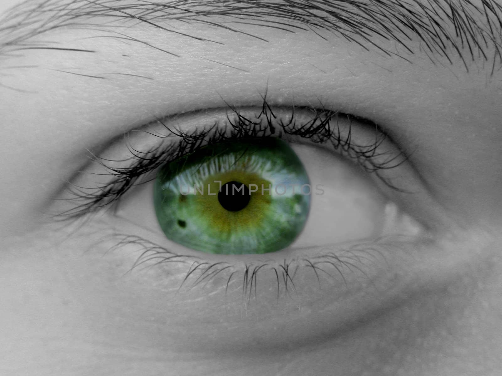 Green female eye