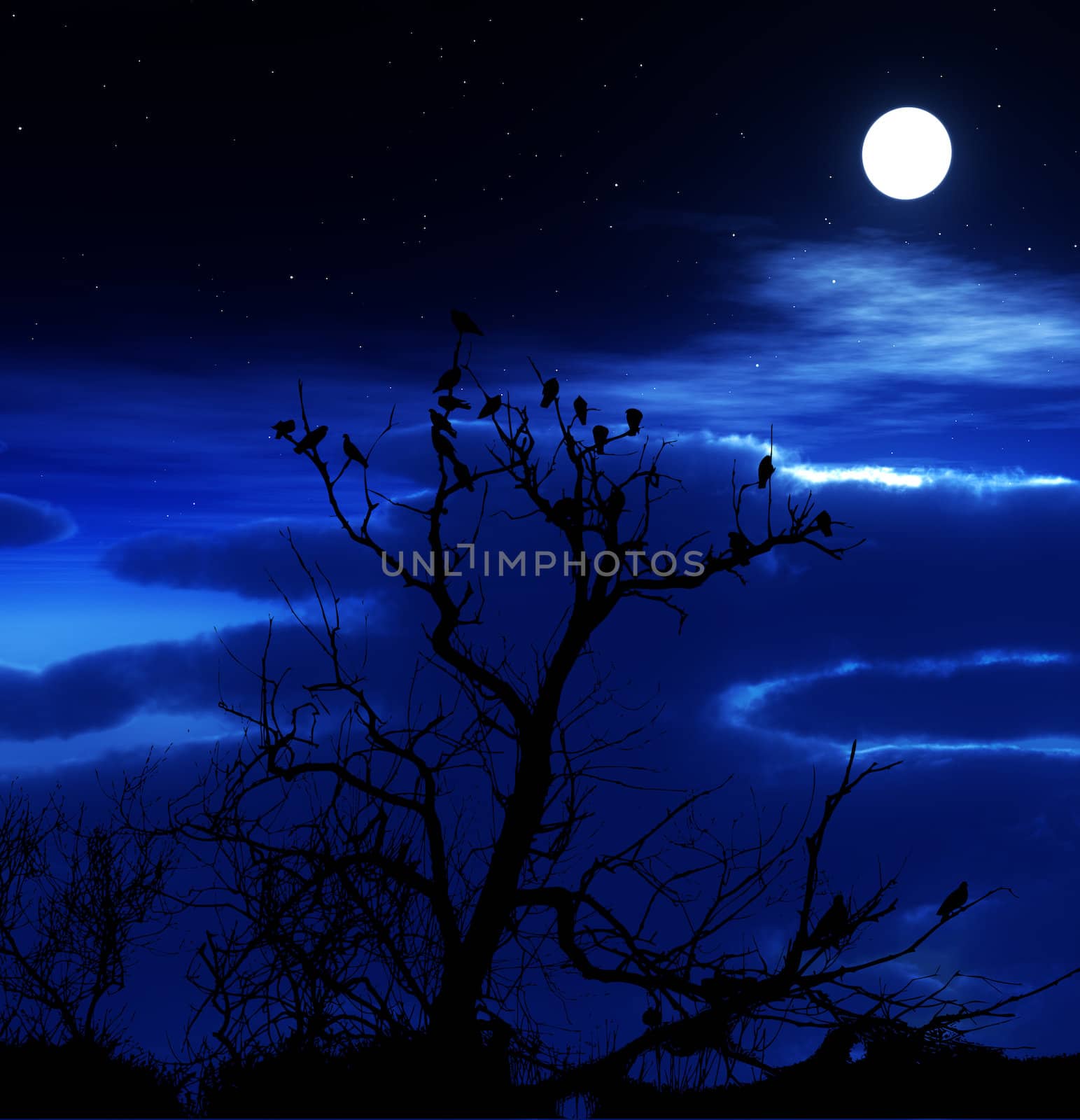A lot of birds sitting on a silhouetted tree with an attractive sky background.