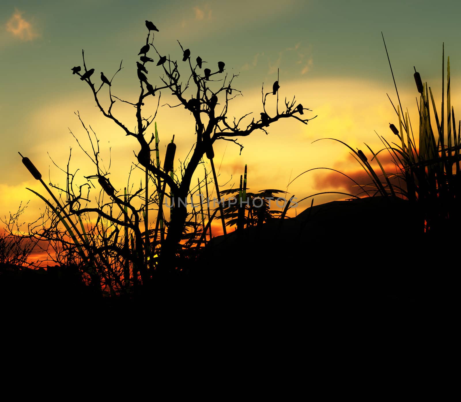 A lot of birds sitting on a silhouetted tree with an attractive sky background.