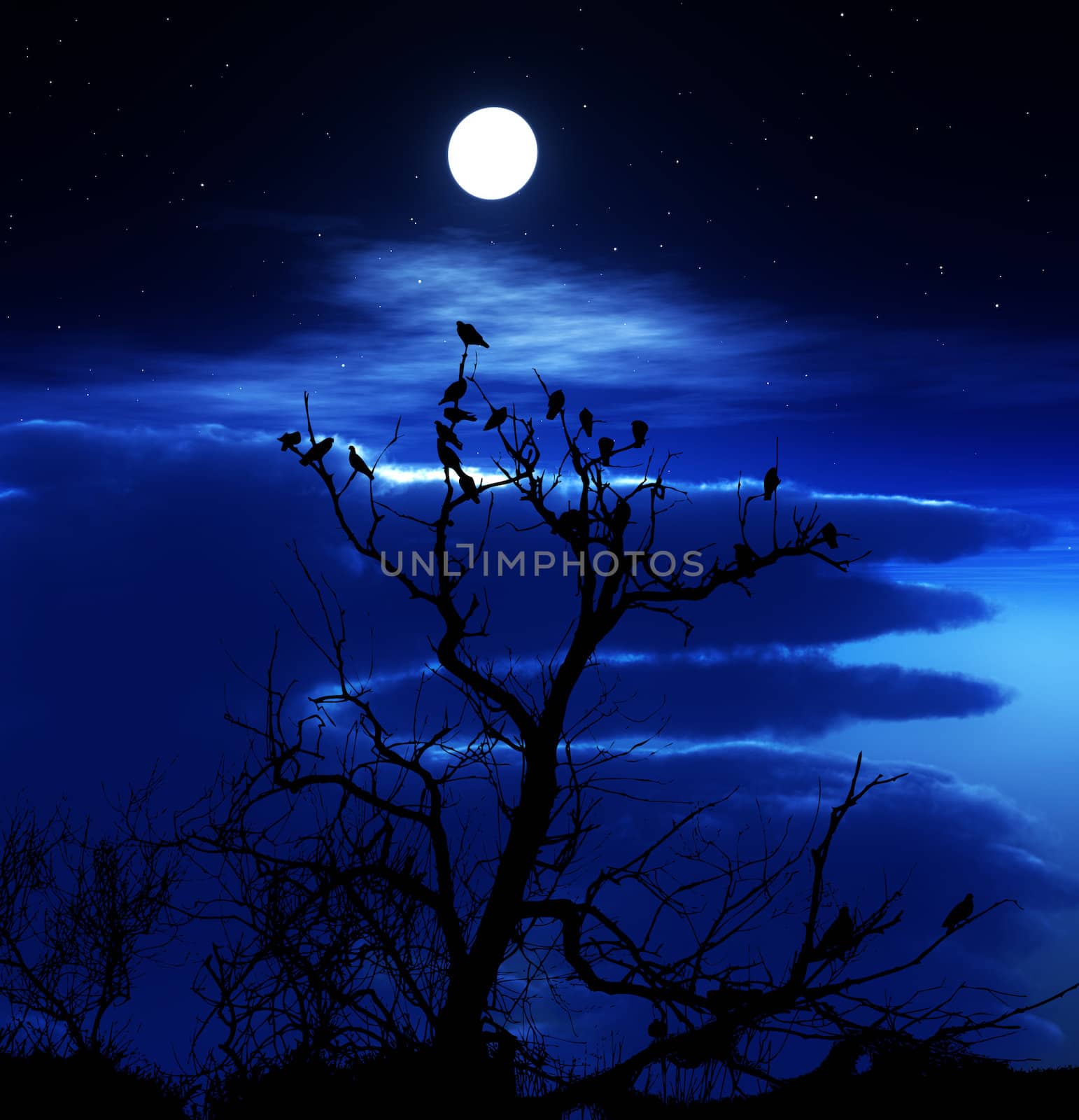 A lot of birds sitting on a silhouetted tree with an attractive sky background.