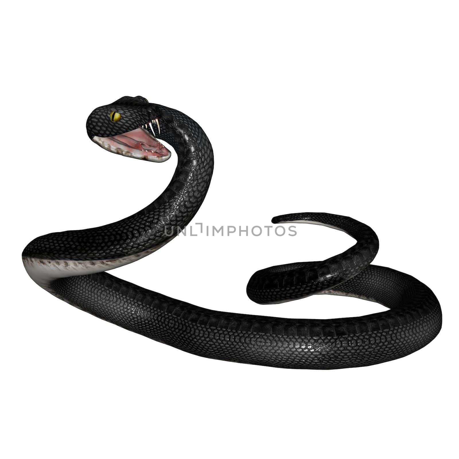 3D rendered snake on white background isloated