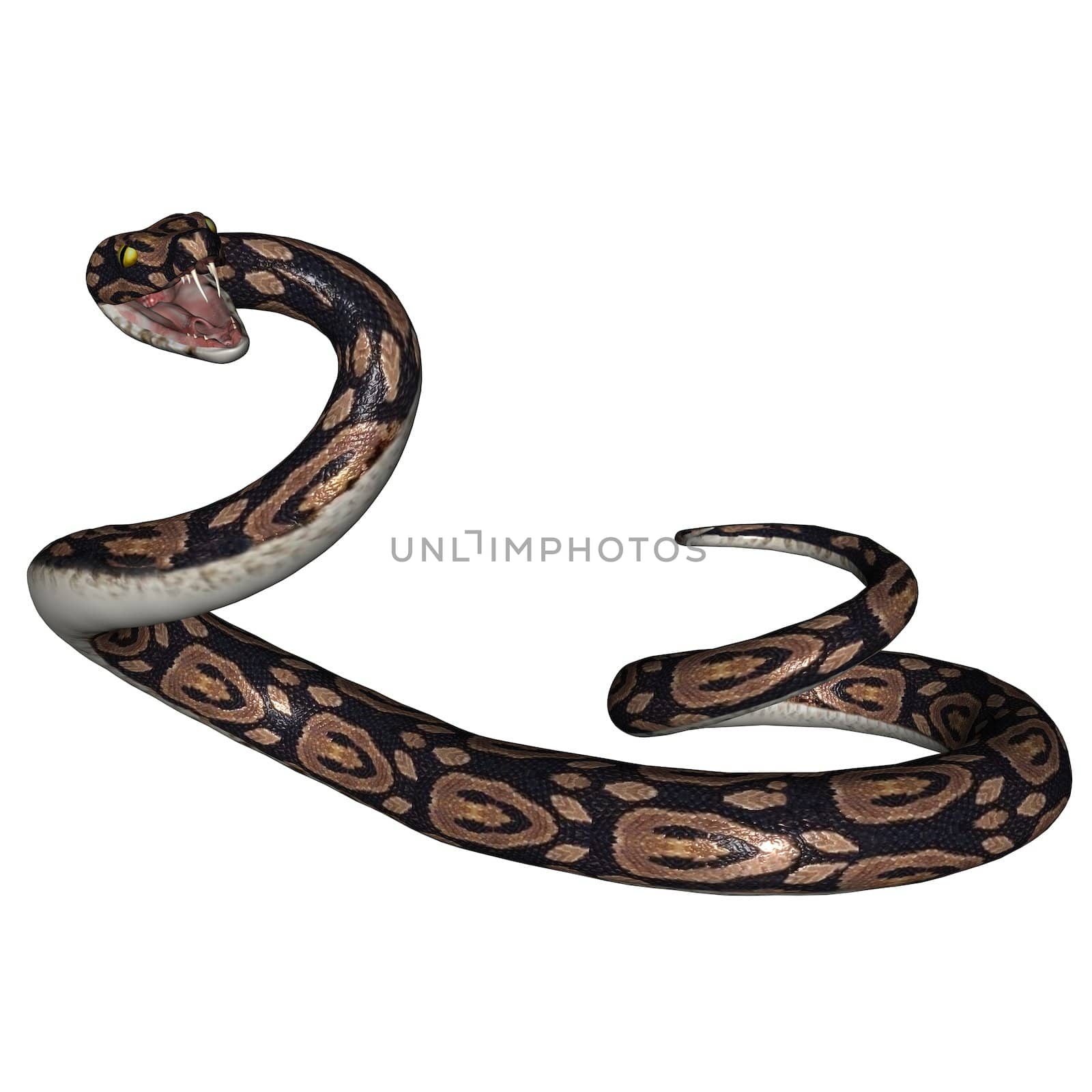 3D rendered snake on white background isloated