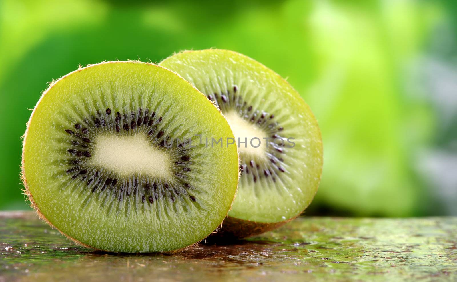 Organic Kiwi fruit by carterphoto