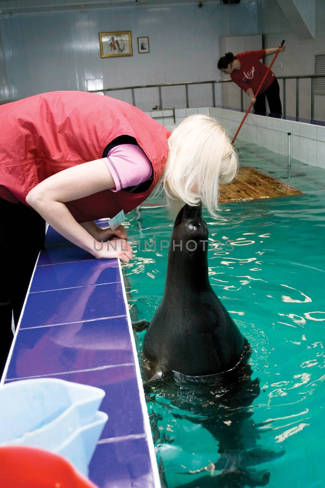 During an interval in the first world circus of the Baikal seals in Irkutsk