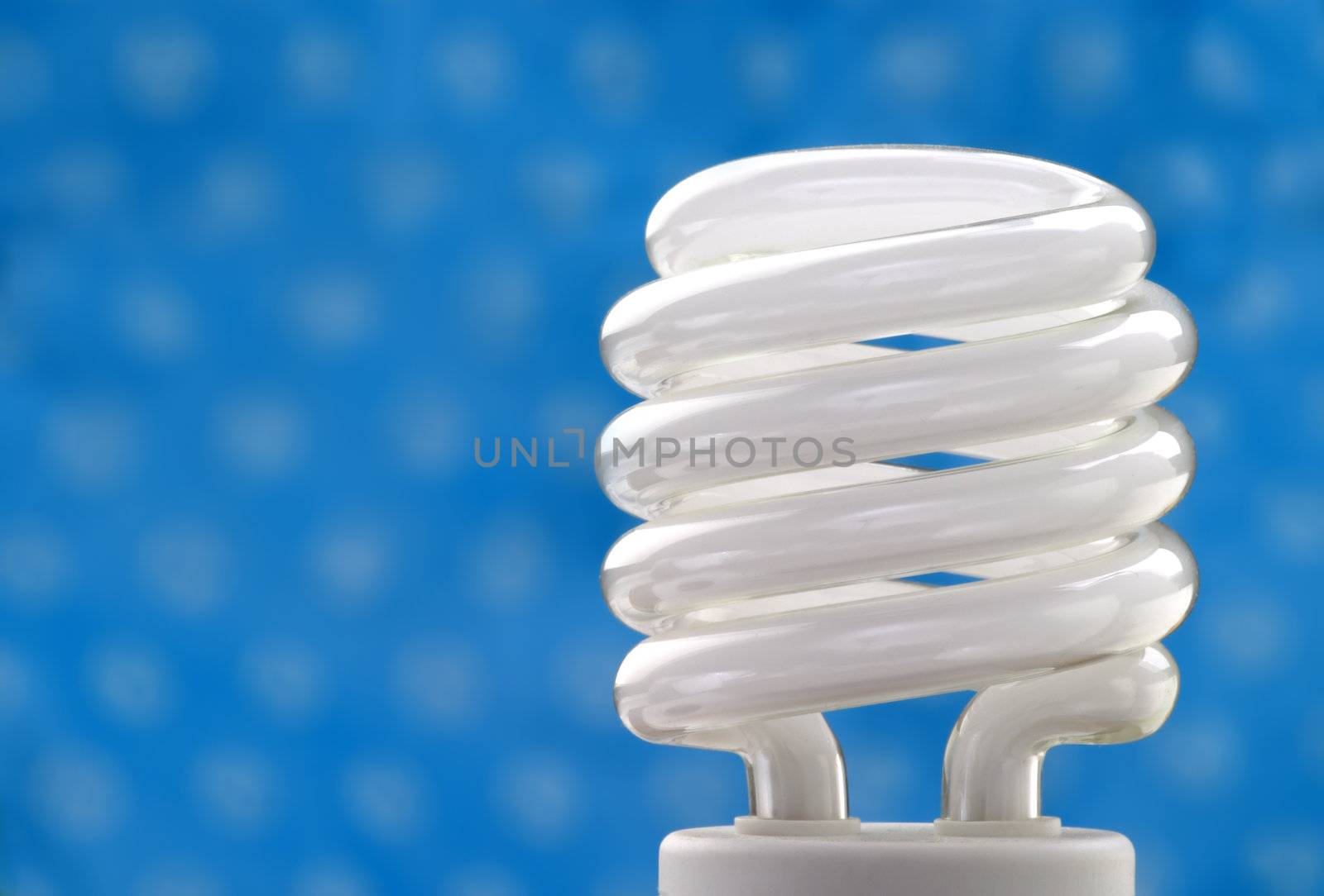 Compact fluorescent bulb by carterphoto