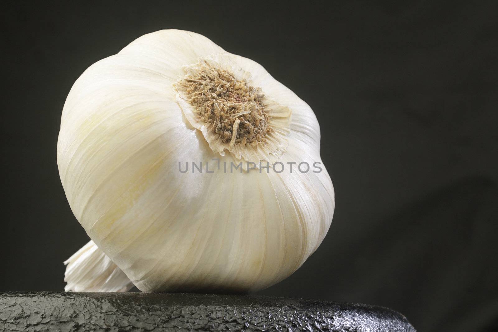 Whole head of garlic on black background.