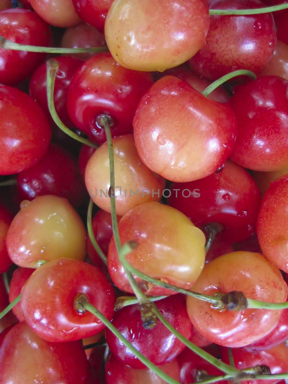 Wet red cherry