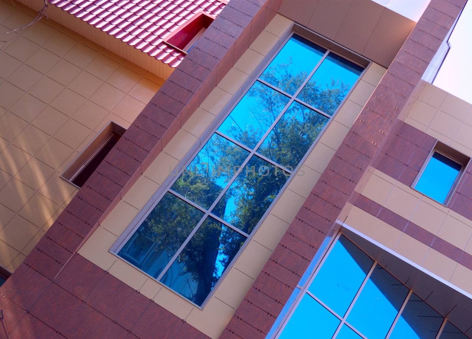 wall of new modern office building with reflections of trees