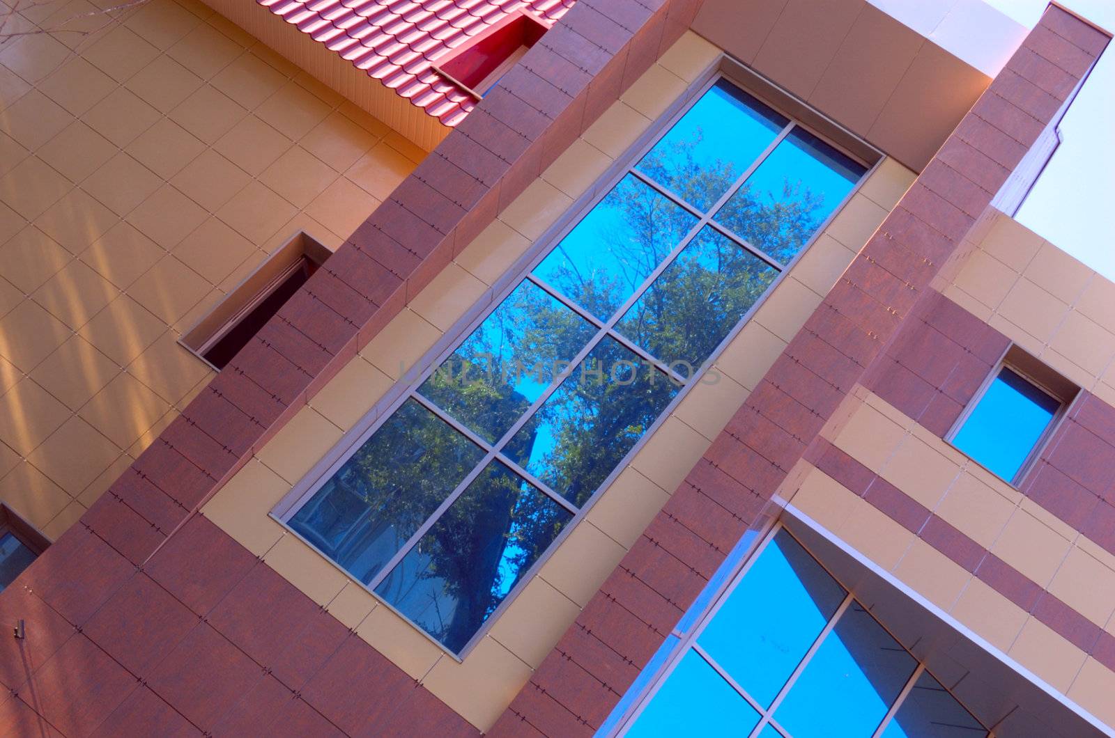 wall of new modern office building with reflections of trees