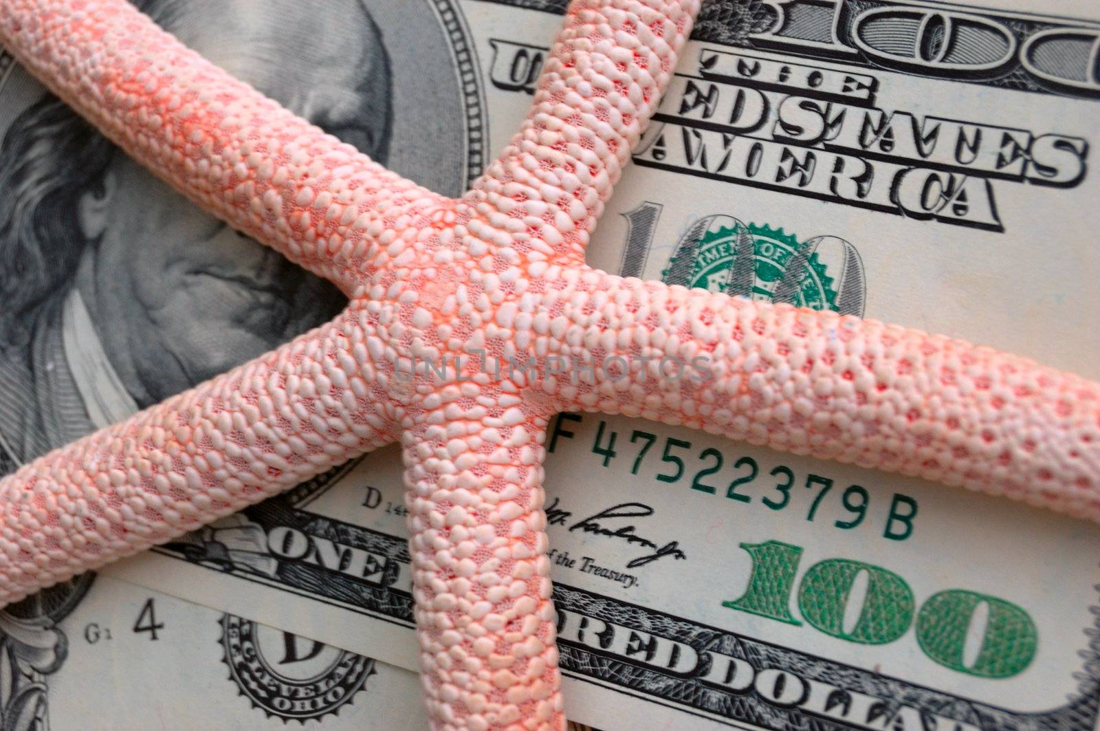 How mach is the summer travel? Close-up of 100 dollar bill and starfish