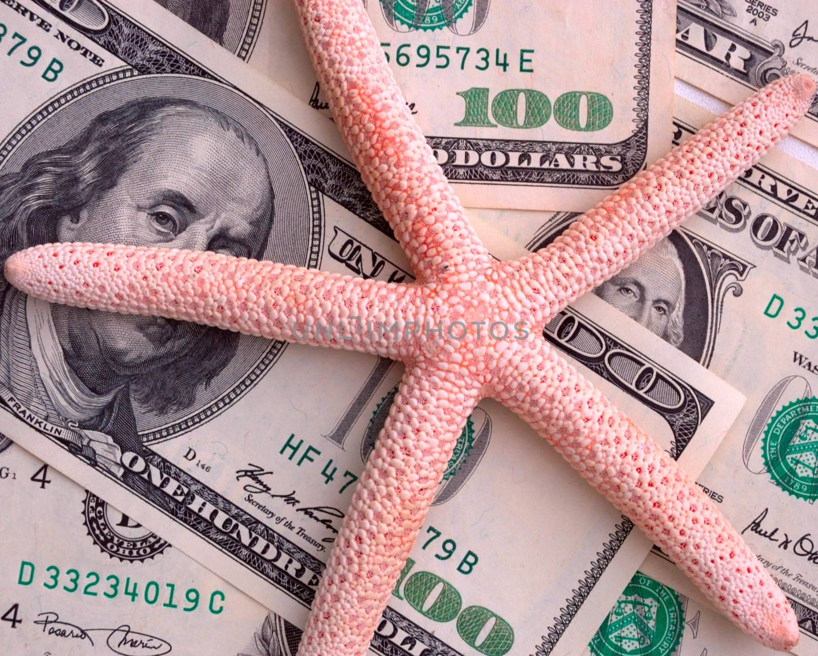 How mach is the summer travel? Close-up of 100 dollar bill and starfish