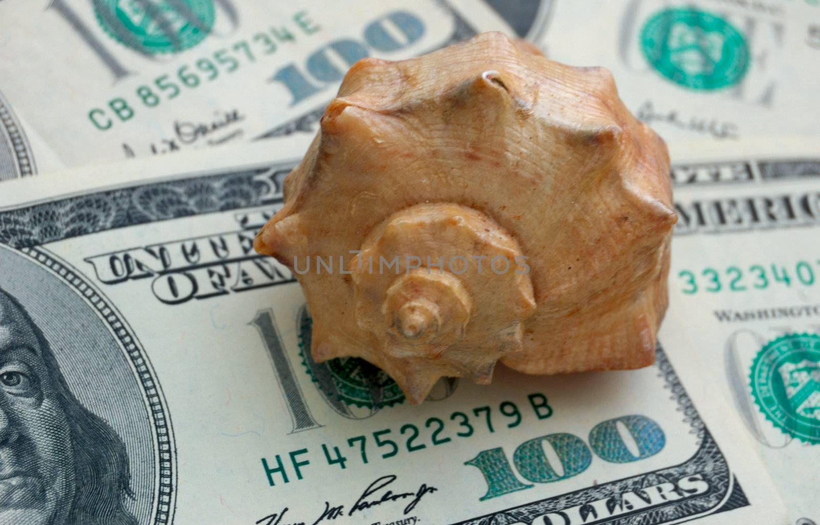How mach is the summer travel? Close-up of 100 dollar bills and shell