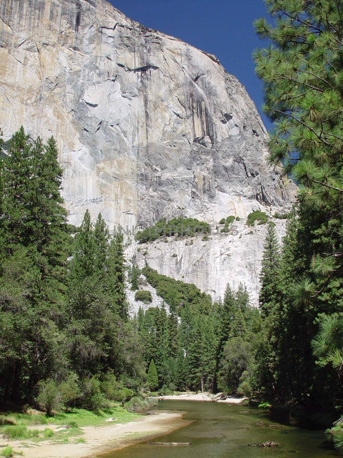 A stream running in front of a four thousand foot glacier carved white granite cliff.