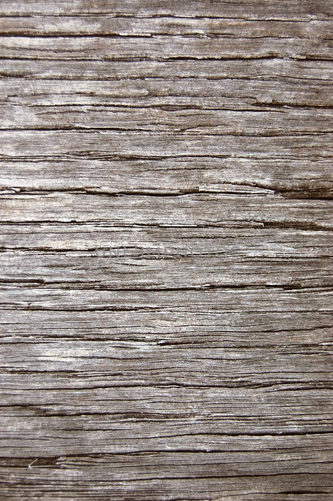 texture of old wood can be used as background