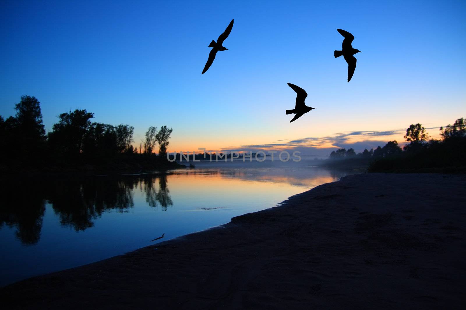 river dusk landscape with gulls by Mikko