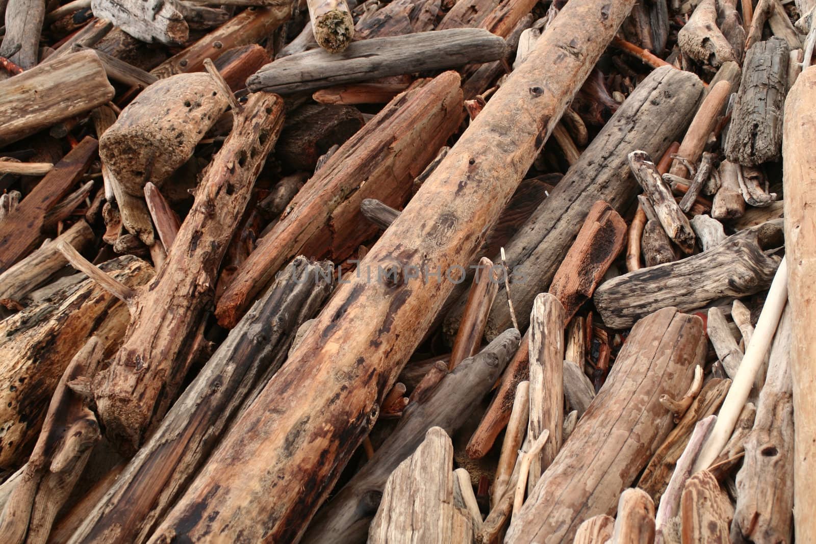 A pile of drift wood on the beach.