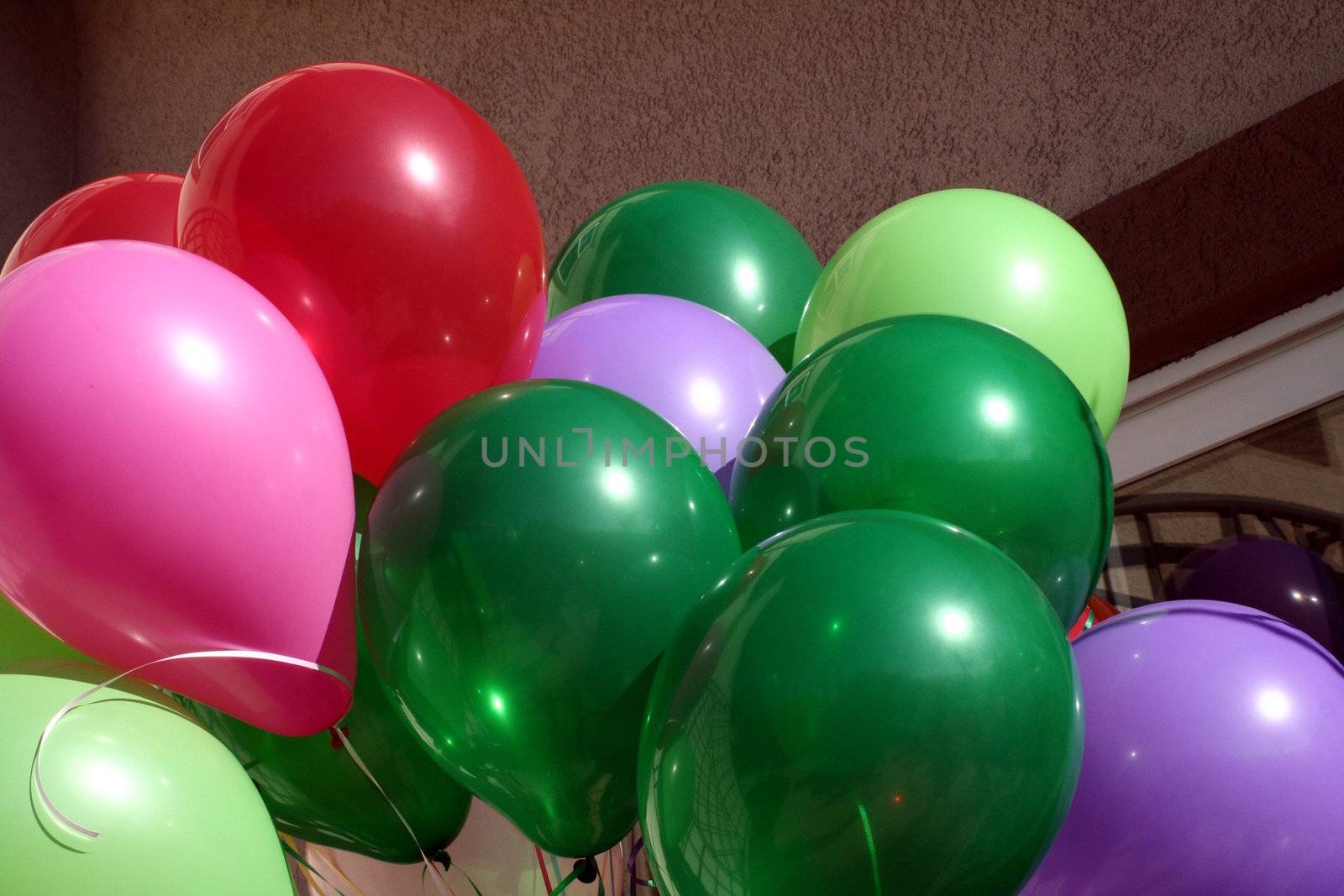 A group of colorful rubber balloons.